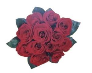 Fresh Red Rose bouquet Free Delivery Flower COSMIC - Sale Cosmic