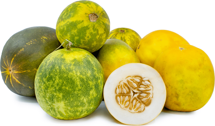 Dosakai per LB Dosakai COSMIC - Sale Cosmic