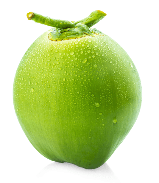 Green Coconut $4.49 for Each Green Coconut - Sale Cosmic
