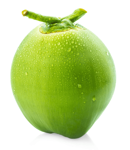 Green Coconut $4.49 for Each Green Coconut - Sale Cosmic