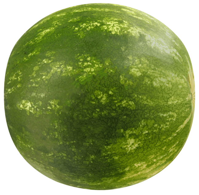 Watermelon Seedless each piece watermelon - Sale Cosmic
